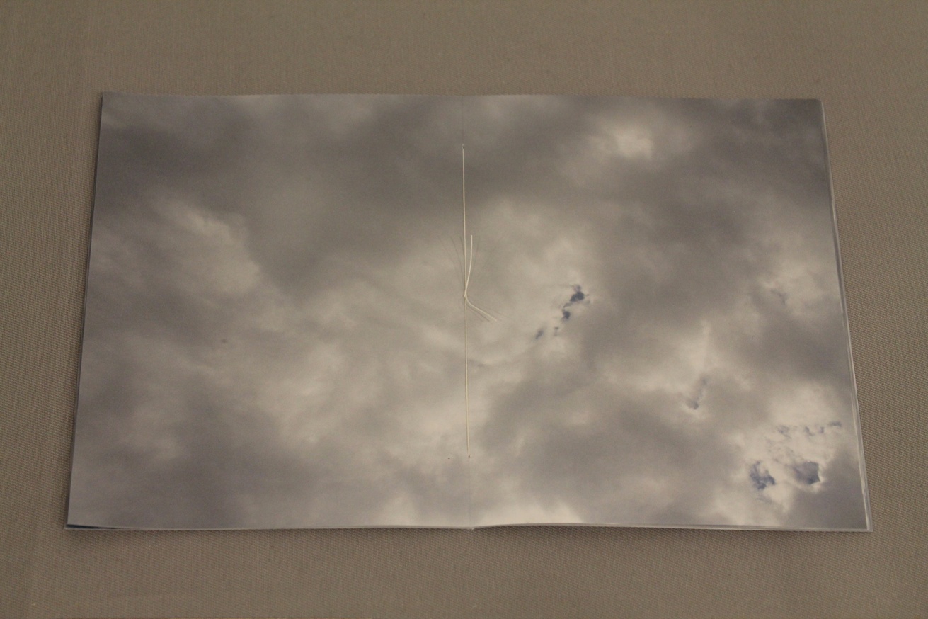 (for example, pictures of empty sky) thumbnail 4