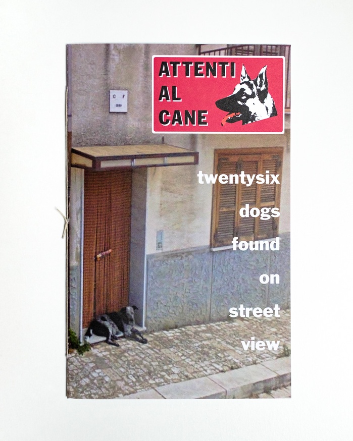 Attenti al Cane: Twentysix Dogs Found on Street View