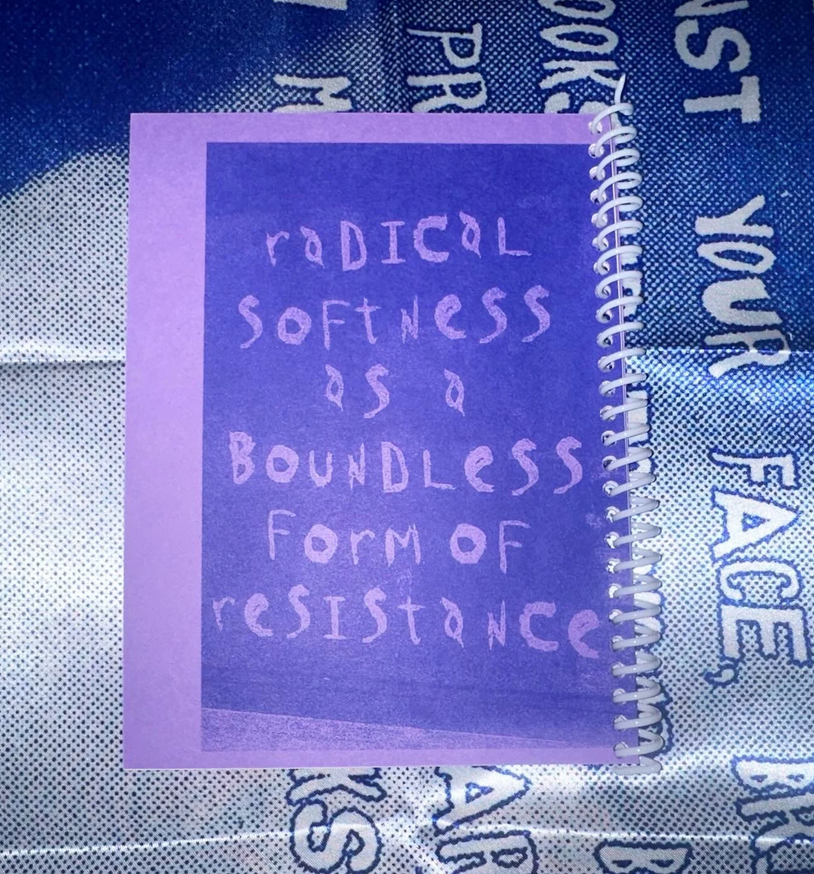 Some Definitions, Some Thoughts, Some Assertions, Radical Softness as a Boundless Form of Resistance [Third Edition] thumbnail 4