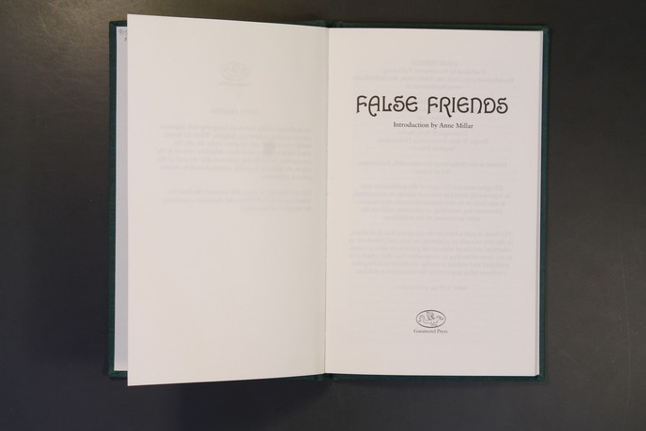 False Friends [by Garamond Press] thumbnail 3
