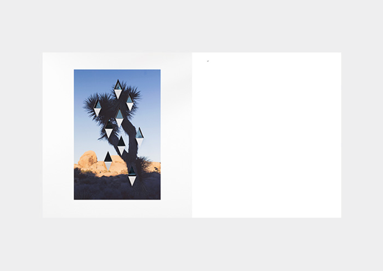 Letha Wilson - Contact Sheet 181 : Letha Wilson - Printed Matter
