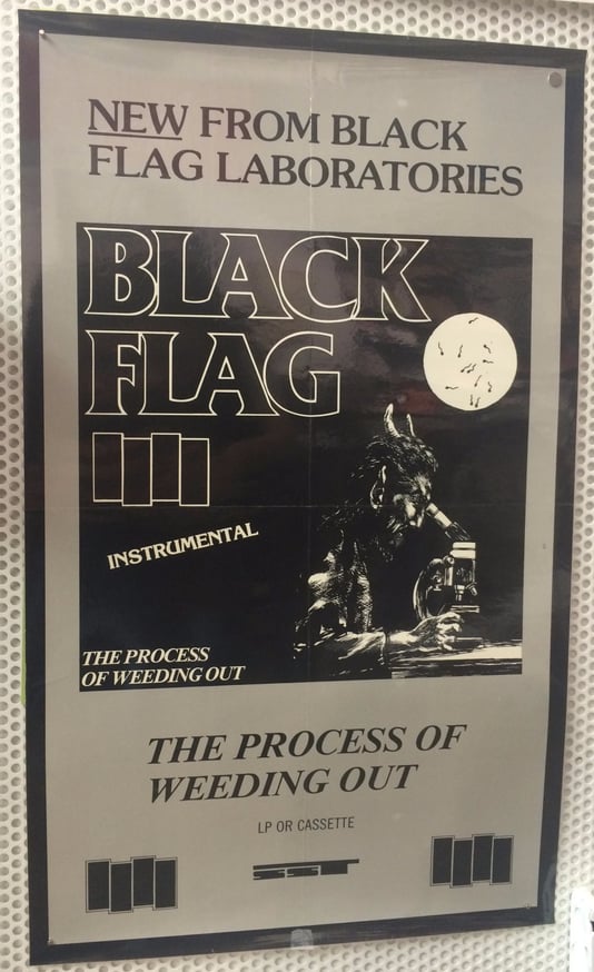 Raymond Pettibon - The Process of Weeding Out Poster [Laminated ...