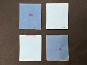 PN2 Experiment: The Five Cent Scarlet Ink Books