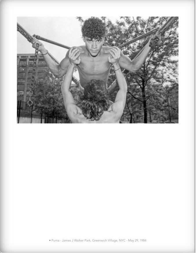 Lucien Samaha - Portraits in Landscape - Printed Matter