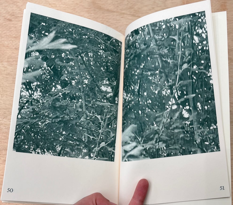 Tyler Rico - Hawthorn Meditation Spring 2022 - Printed Matter