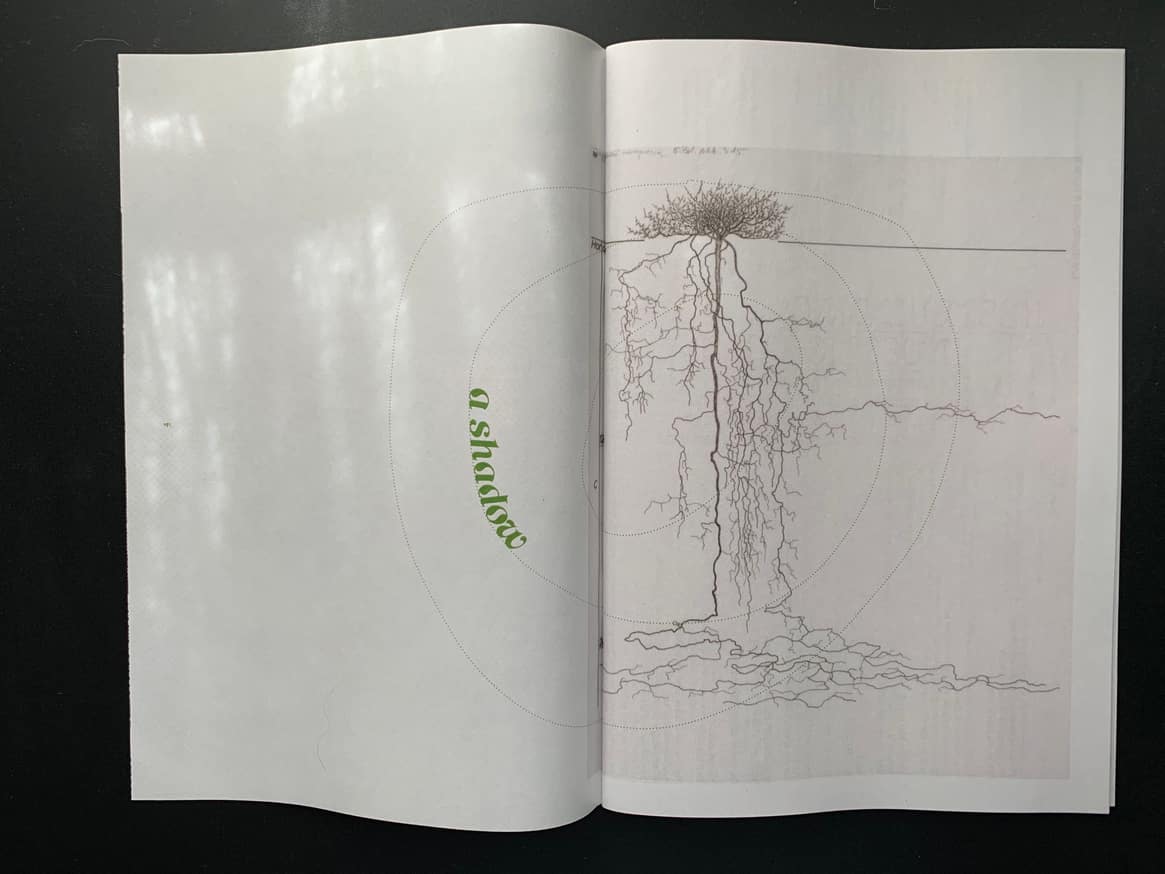 The Minutes of the Hildegard von Bingen Society for Gardening Companions Printed Matter