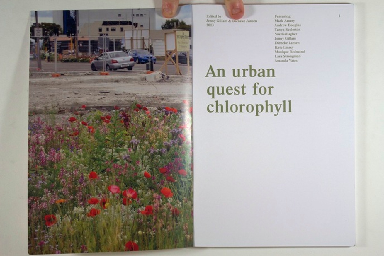 An Urban Quest for Chlorophyll thumbnail 5