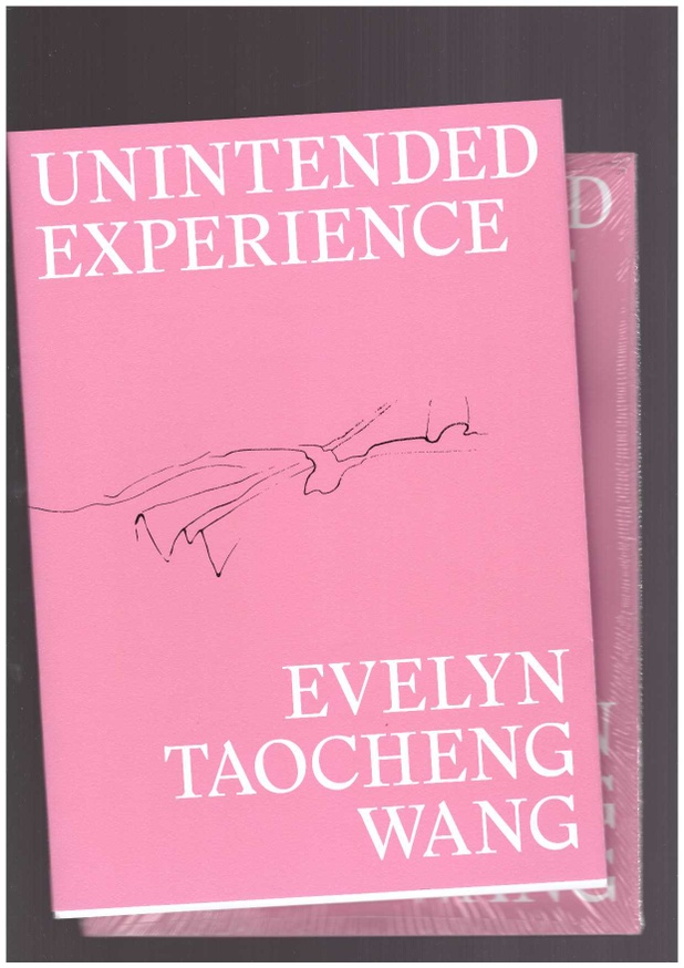 Unintended Experience (A Job In Amsterdam) [Second Edition]