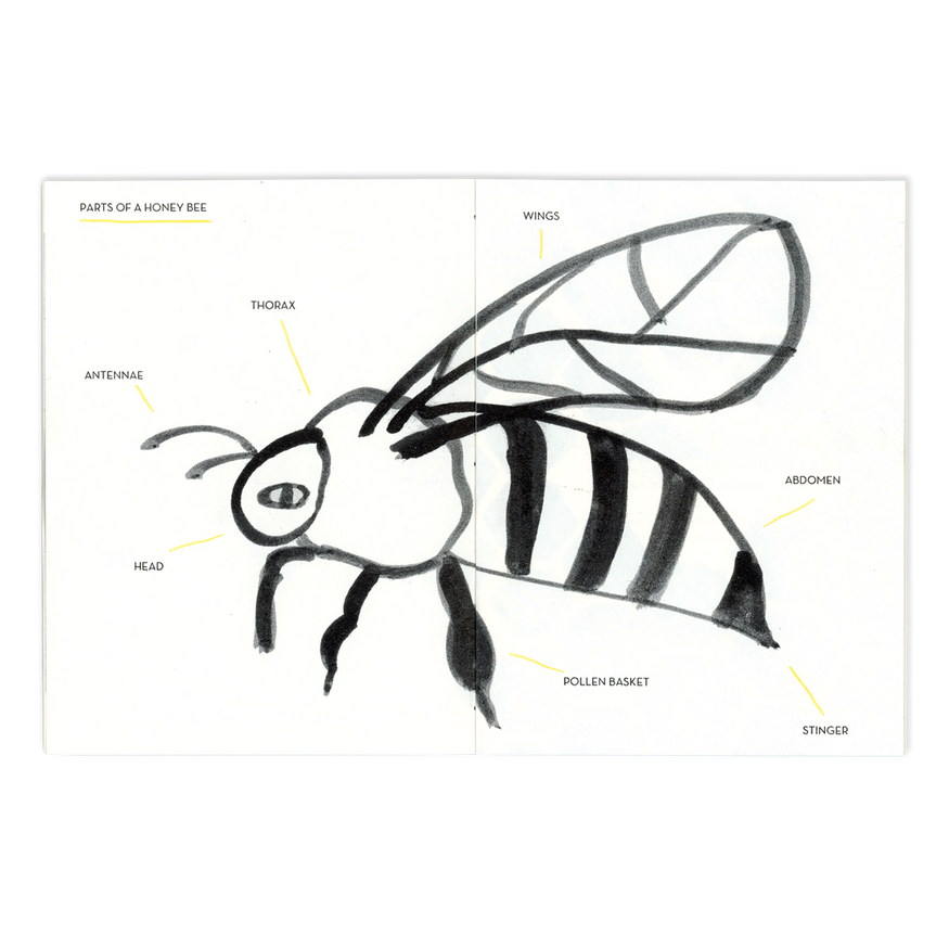 Honey Bees thumbnail 2
