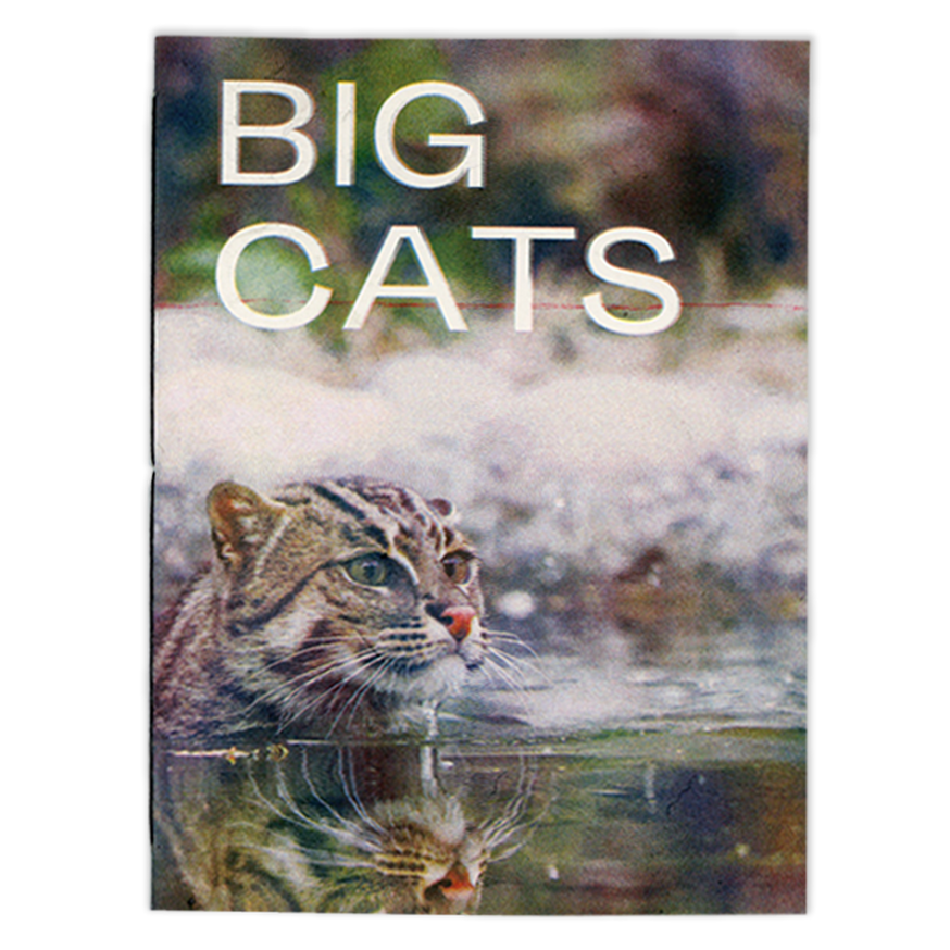 Big Cats