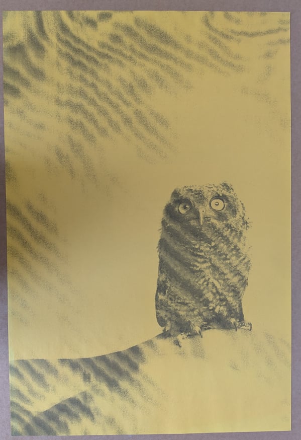 Ryan McGinley - Owl Poster - Printed Matter