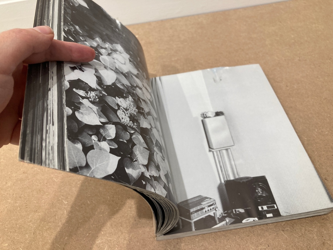 Michael Snow - Cover to Cover [Paperback] - Printed Matter