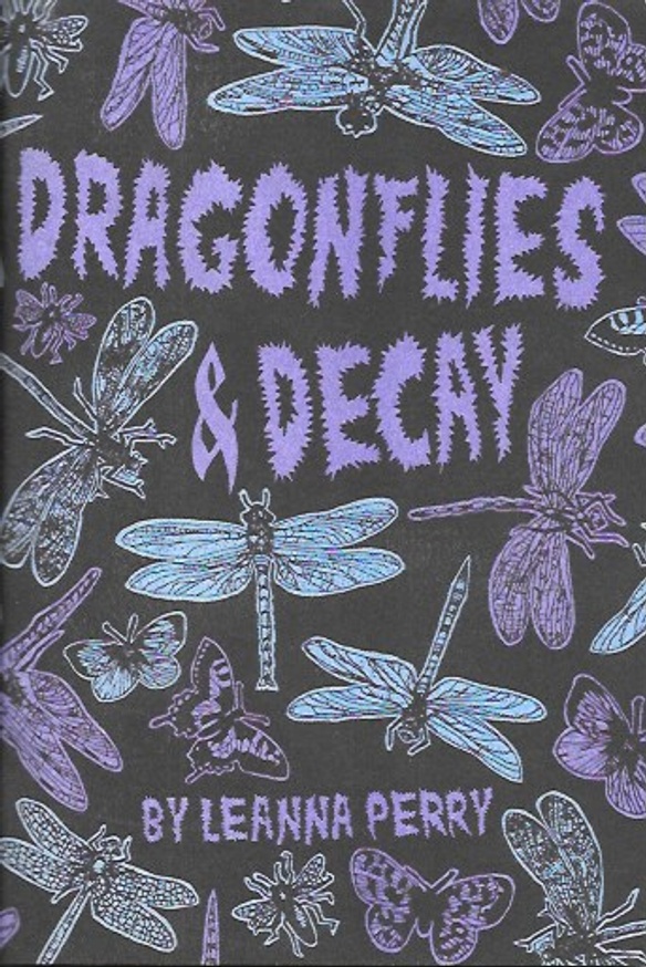 Dragonflies & Decay