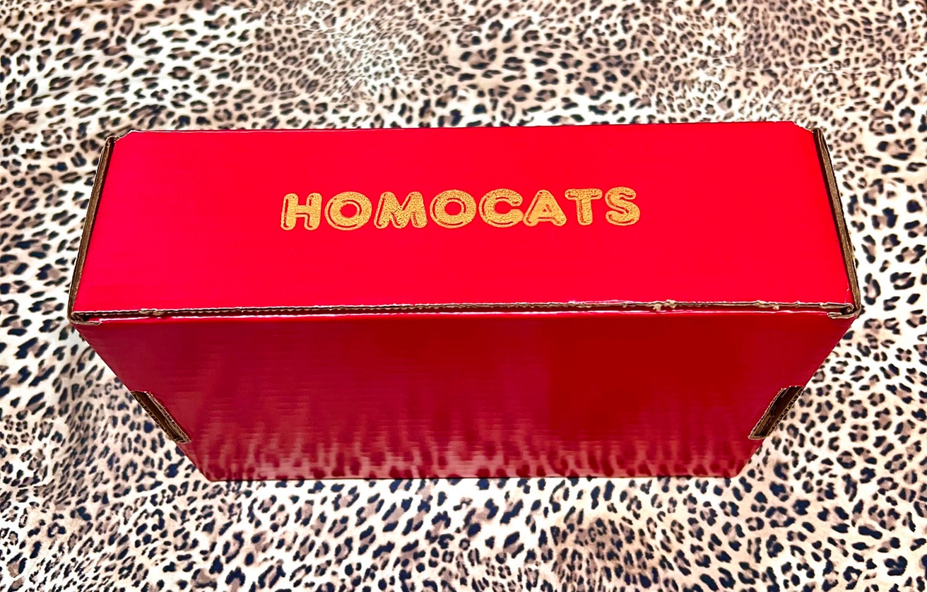 HOMOCATS: Boxed Zine Set thumbnail 3