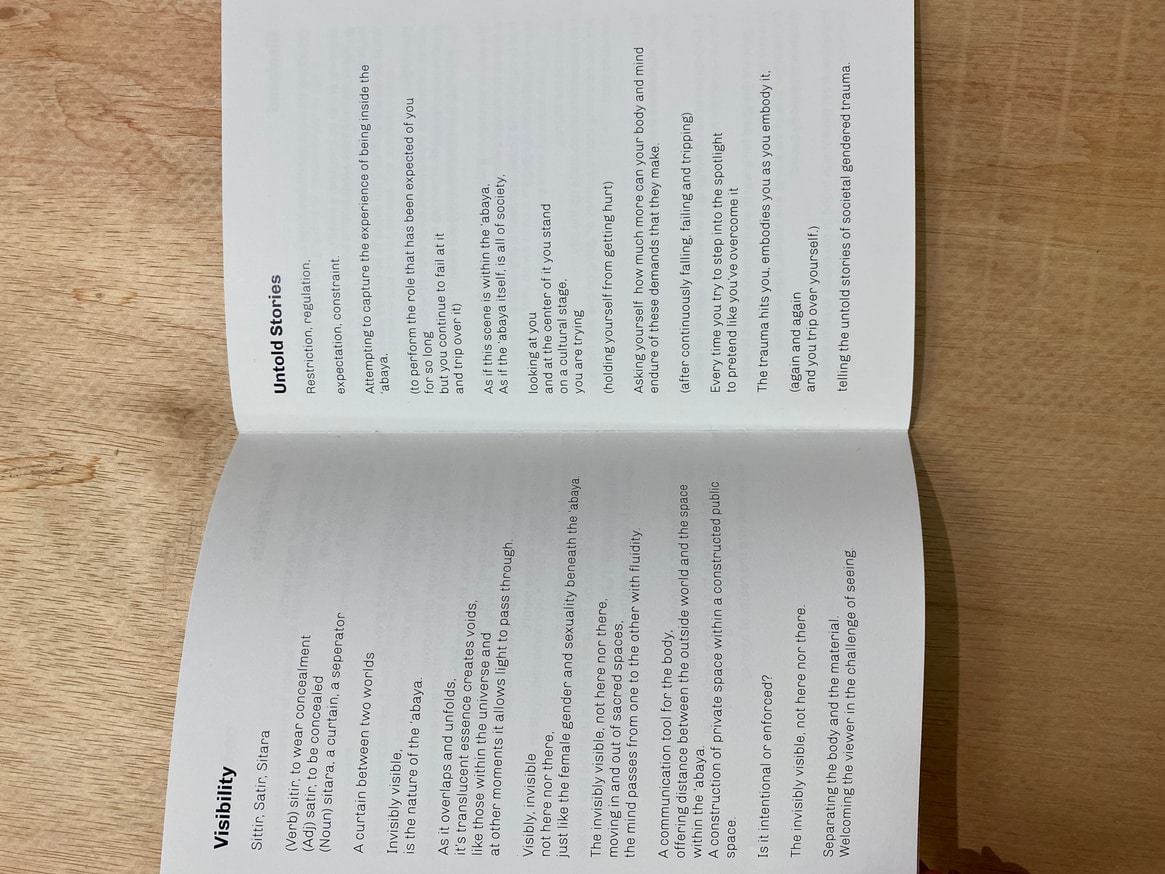 Manisha AR and Farah Salem - Invisibly Visible: Poetry Collection ...