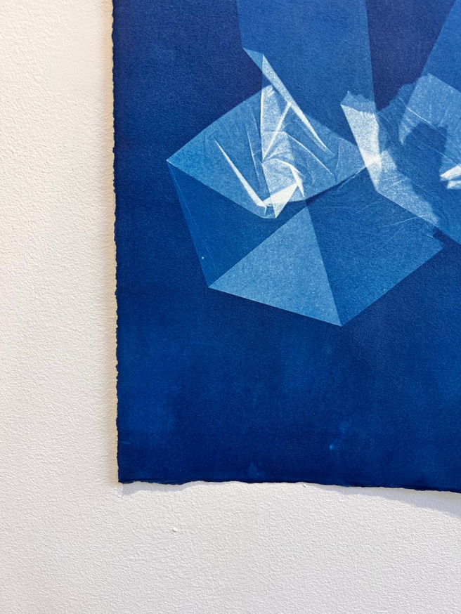 Dear Anna Atkins [Print] 2 thumbnail 2