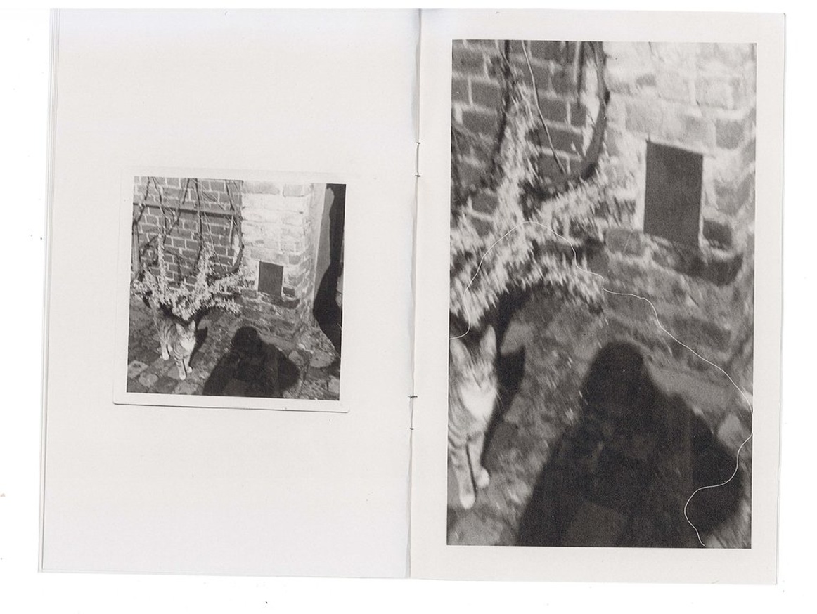 (39) Vintage Photo Lot / Shadows Photographer Vampire Ghosts - SNAPSHOTS 1915-65 thumbnail 7