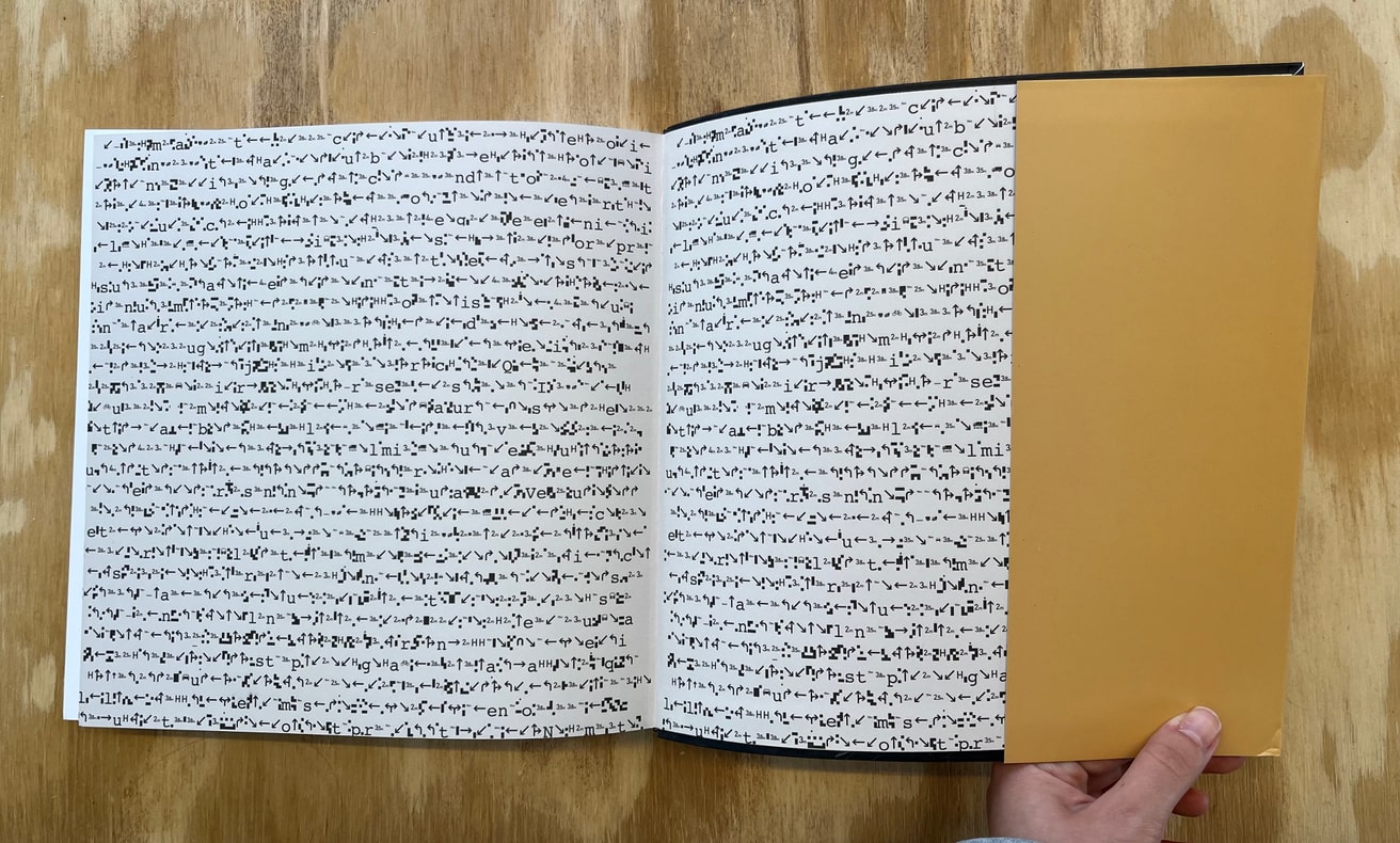 Laurie Anderson - All the Things I Lost In the Flood - Printed Matter
