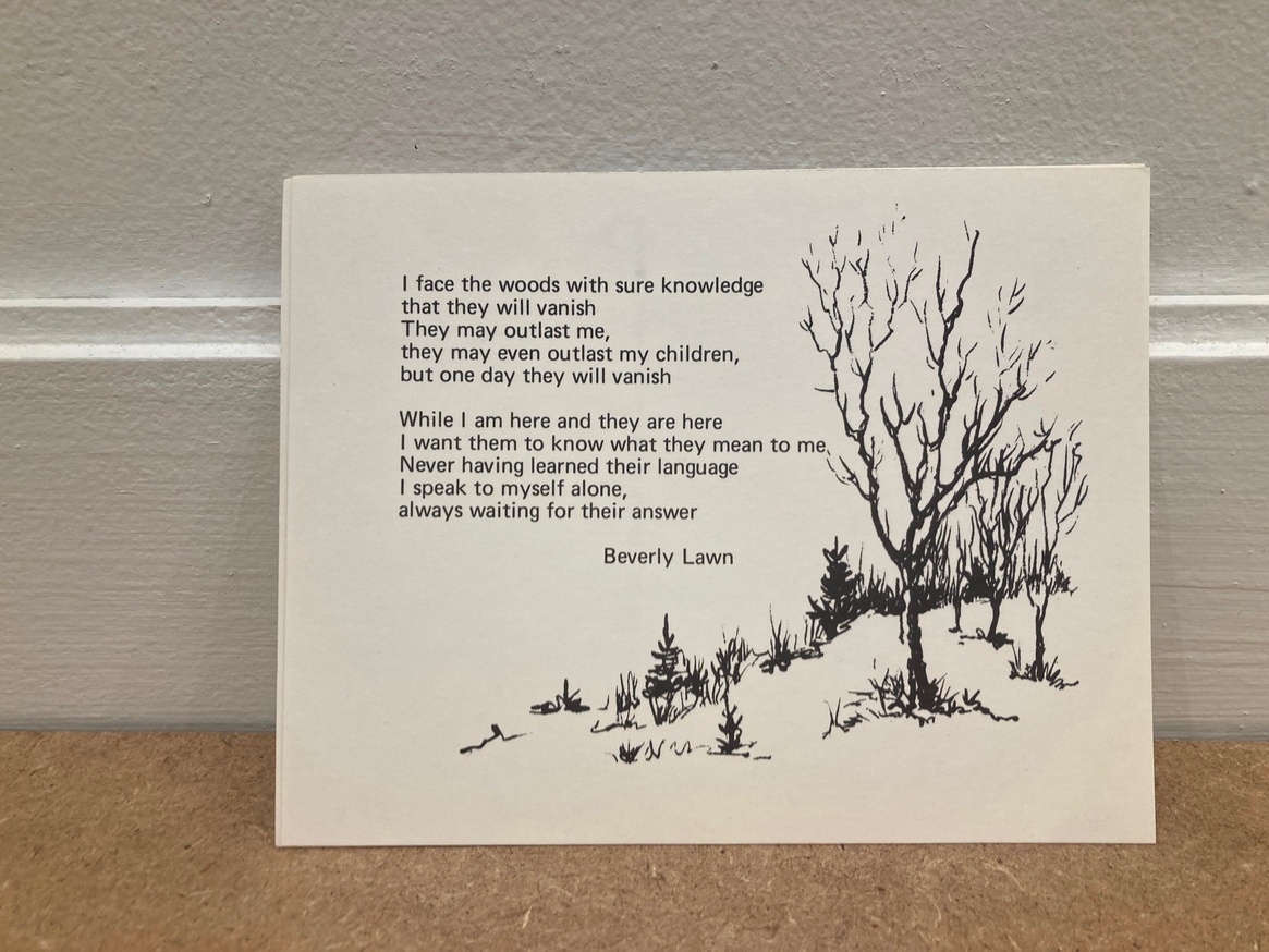 "Poem [I face the woods with sure knowledge]" [Postcard]