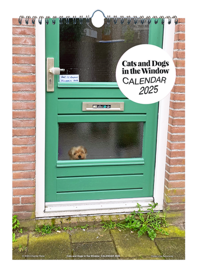 Cats and Dogs in the Window CALENDAR 2025