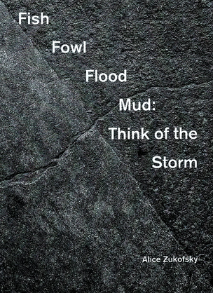 Fish Fowl Flood Mud : Think of the Storm