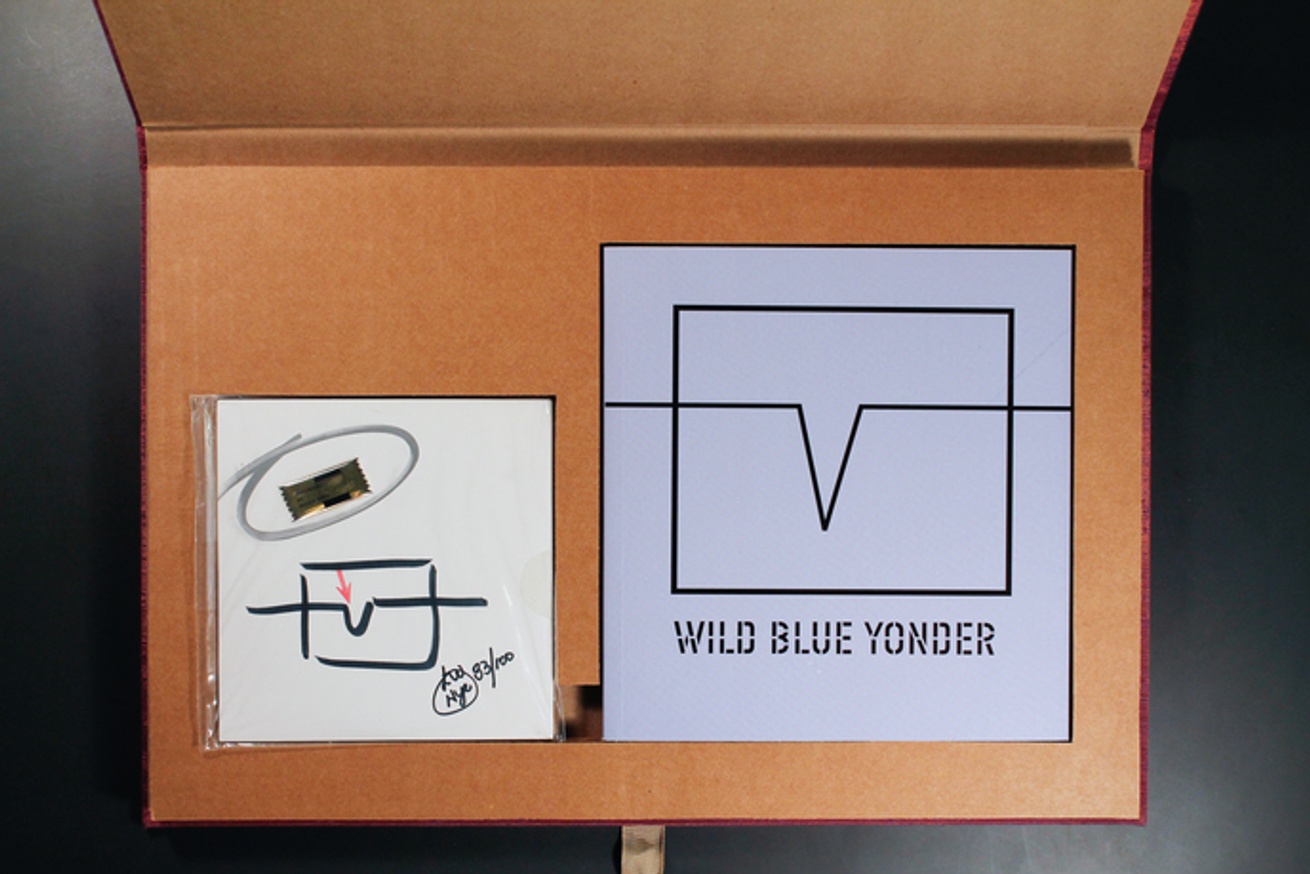 Wild Blue Yonder, 2002 thumbnail 2