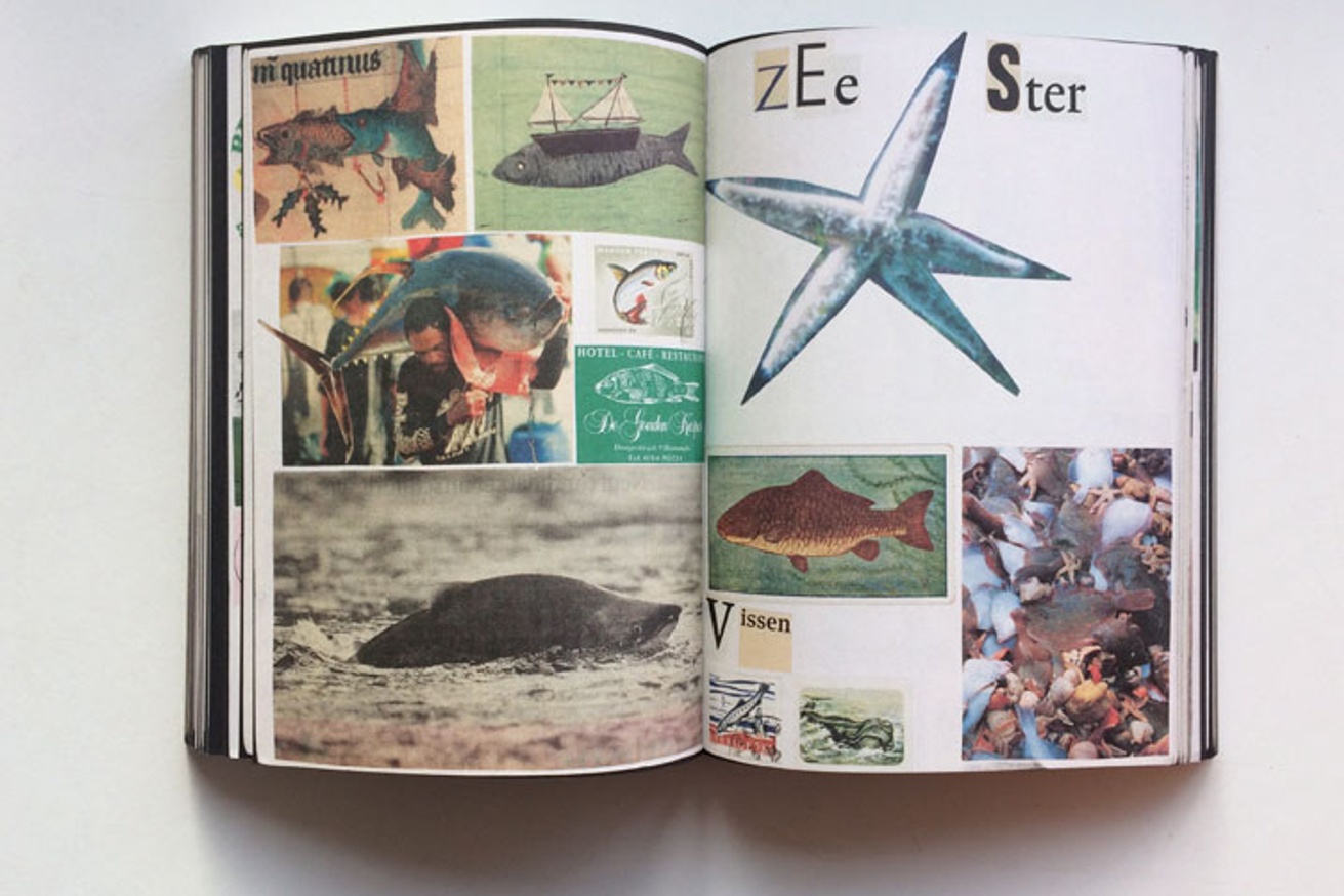 Animal Books For Jaap Zeno Anna Julian Luca [Reprint / New Cover] thumbnail 2