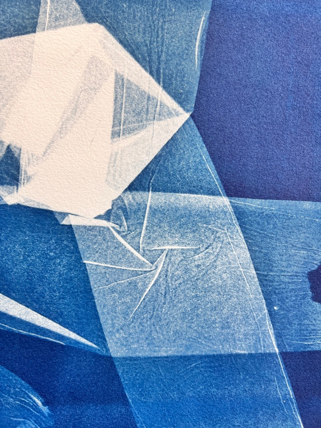 Dear Anna Atkins [Print] 1 thumbnail 3