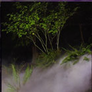 Fog