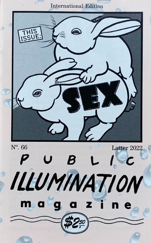 Public Illumination