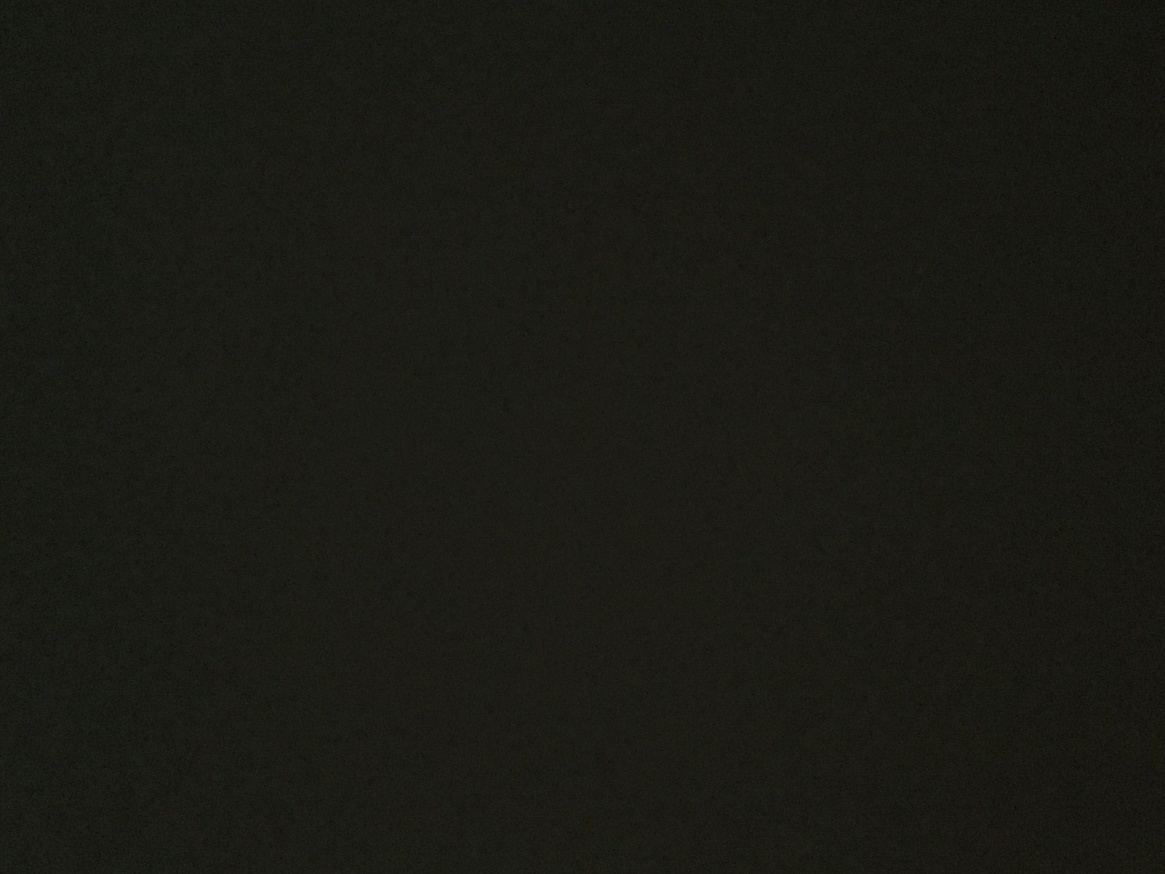 The Opaque Glass : A Poem by Barbara A. Roux in Collaboration with Coco Gordon thumbnail 2