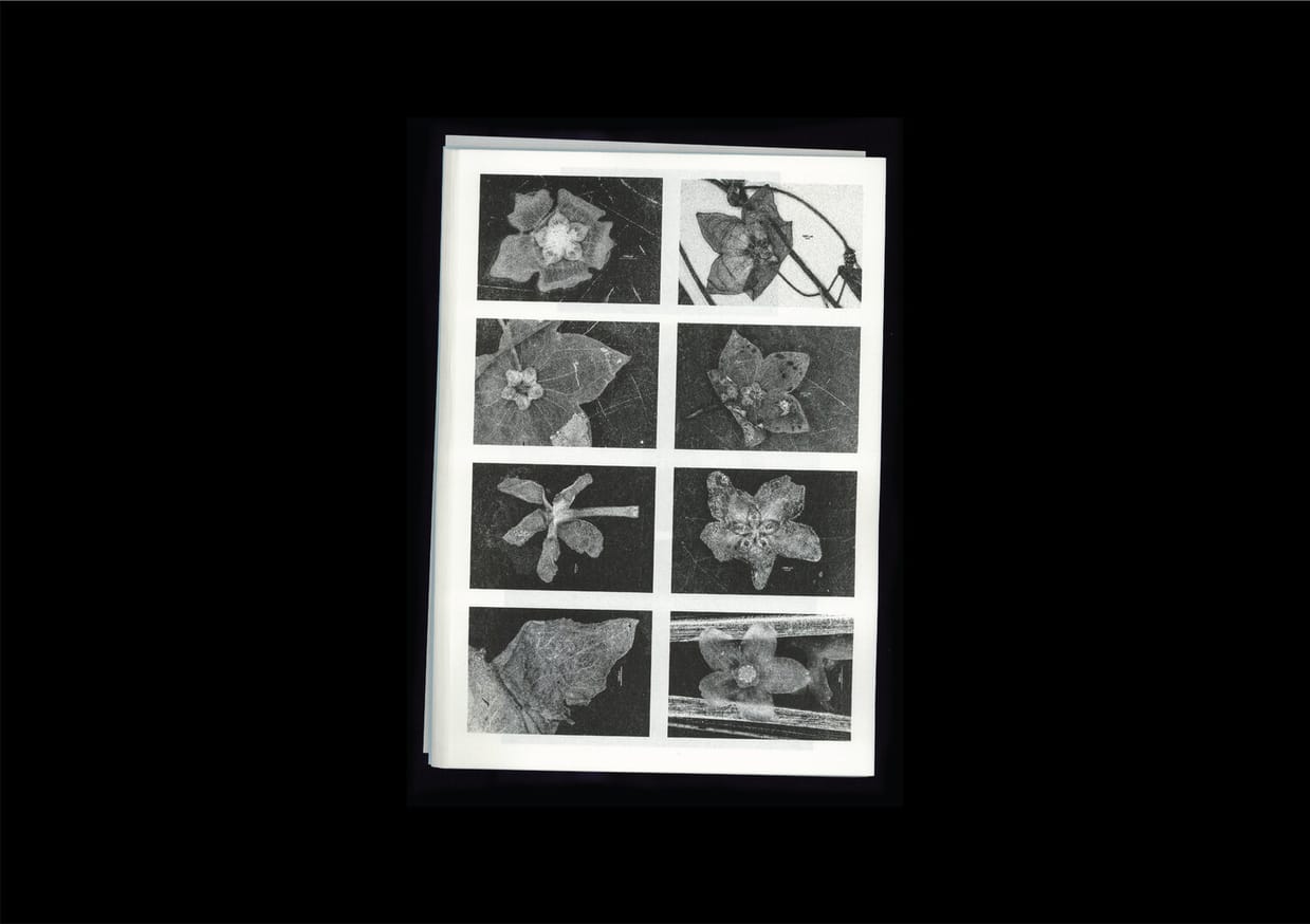 Loh Xiang Yun - Microscopic Images - Printed Matter