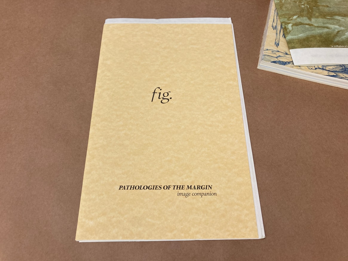 Evan Fusco - Pathologies of the Margins; a study in dissipation ...