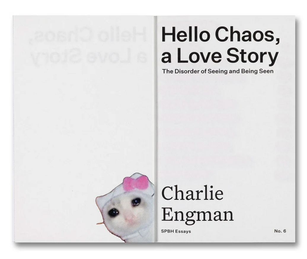 Hello Chaos, a Love Story thumbnail 2