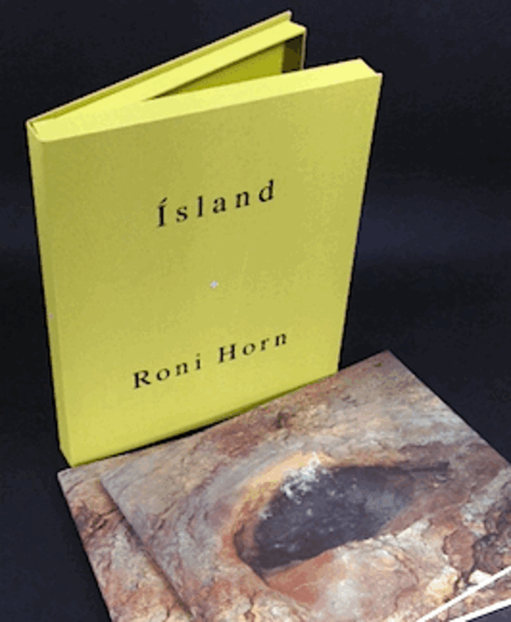 Roni Horn - To Place: Becoming a Landscape - Printed Matter