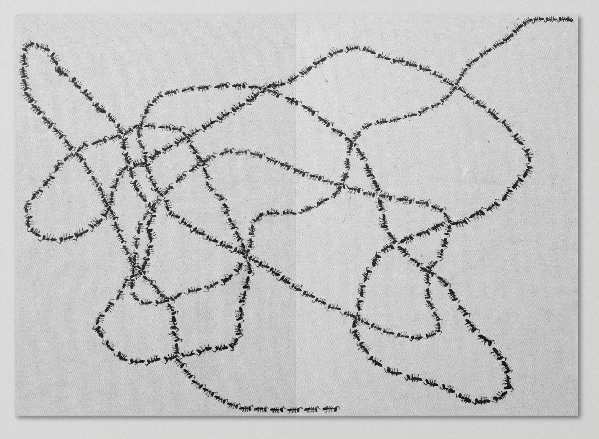 Chris Johanson - Ants - Printed Matter