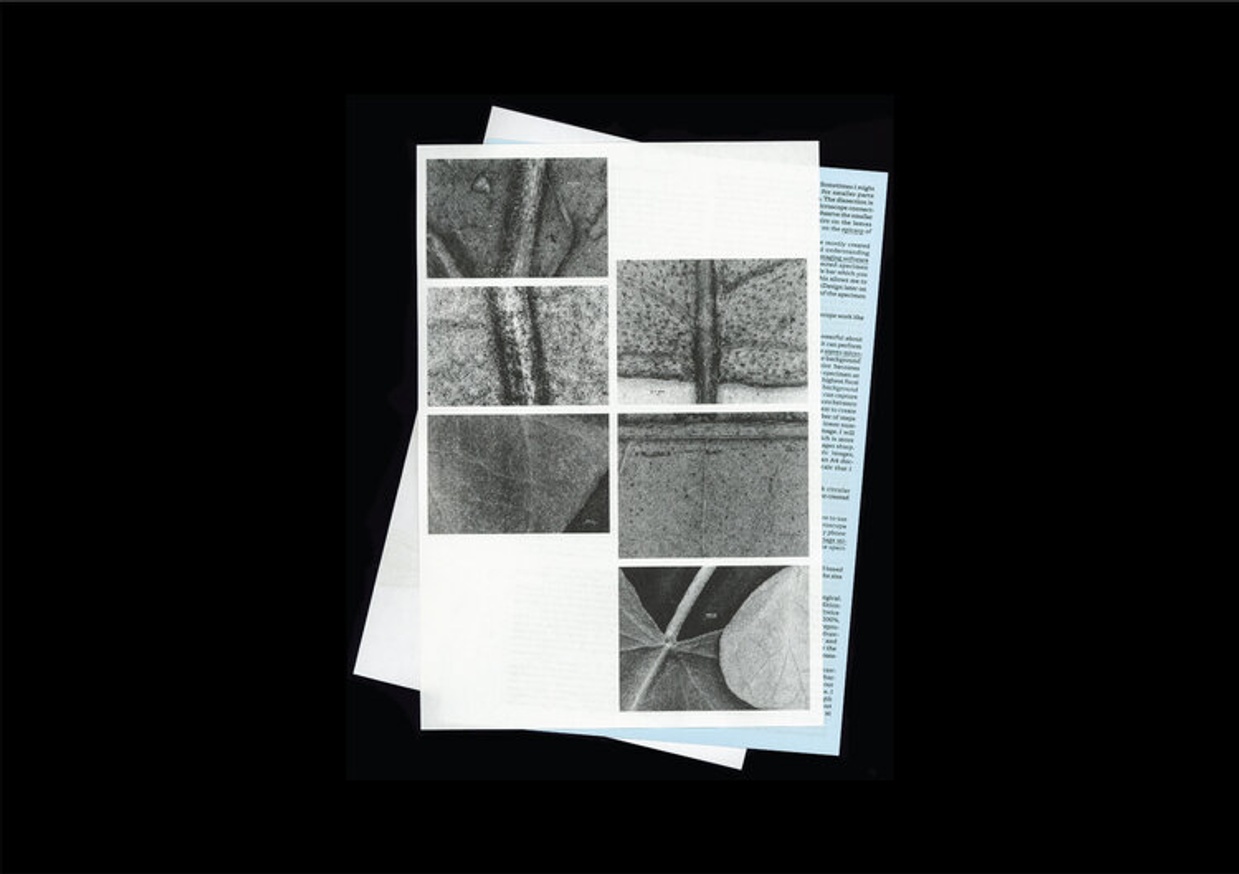 Loh Xiang Yun - Microscopic Images - Printed Matter