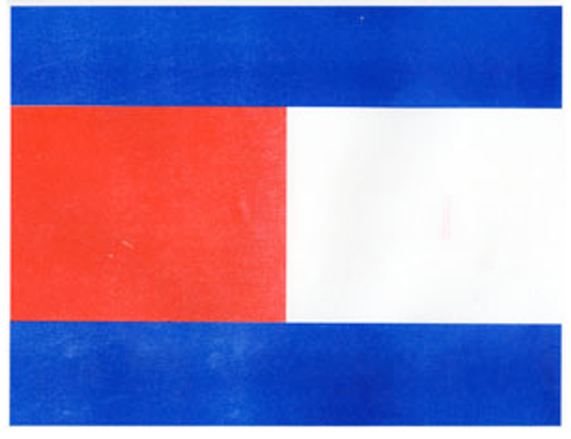 Tommy Flag Series: 8.5 × 11″, Riso MZ 1090U thumbnail 6