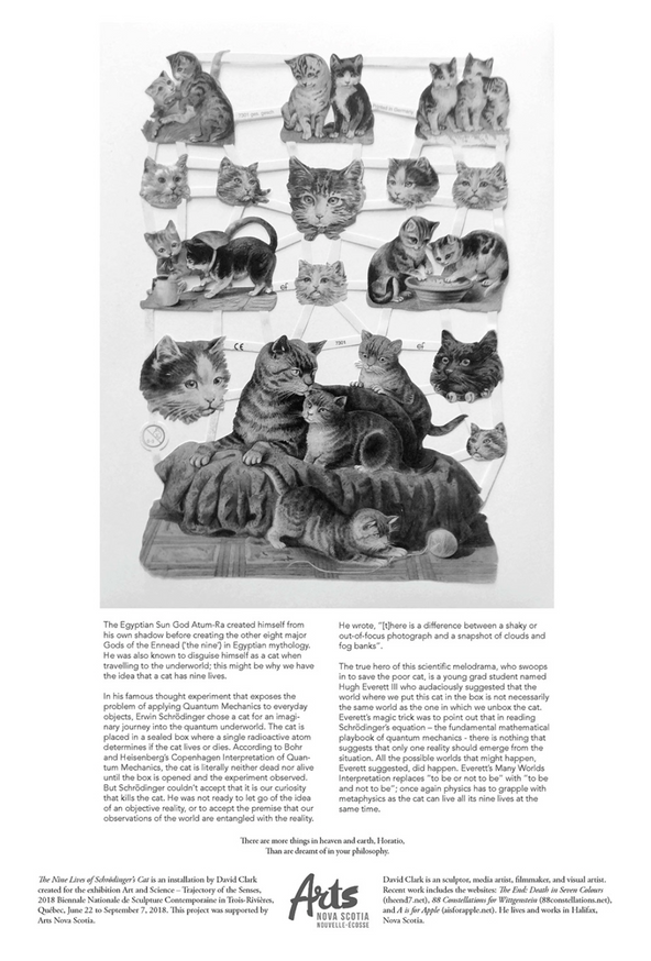 The Nine Lives of Schrödinger's Cat thumbnail 5
