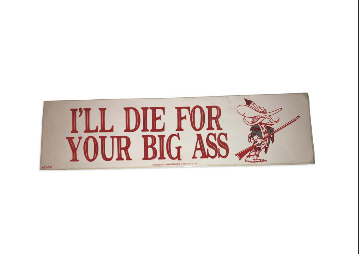 "I'll Die For..." (Bumper Sticker - Small)