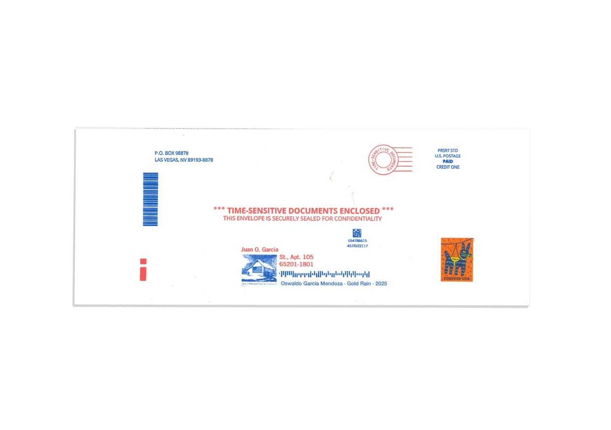 Oswaldo García - Time-sensitive documents enclosed - Printed Matter