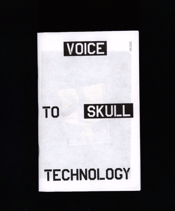 Voice to Skull Technology