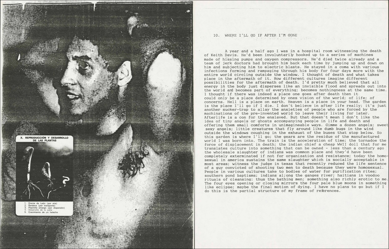 David Wojnarowicz: In the Shadow of Forward Motion thumbnail 7