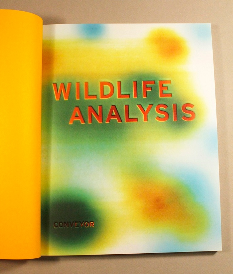 Wildlife Analysis thumbnail 3