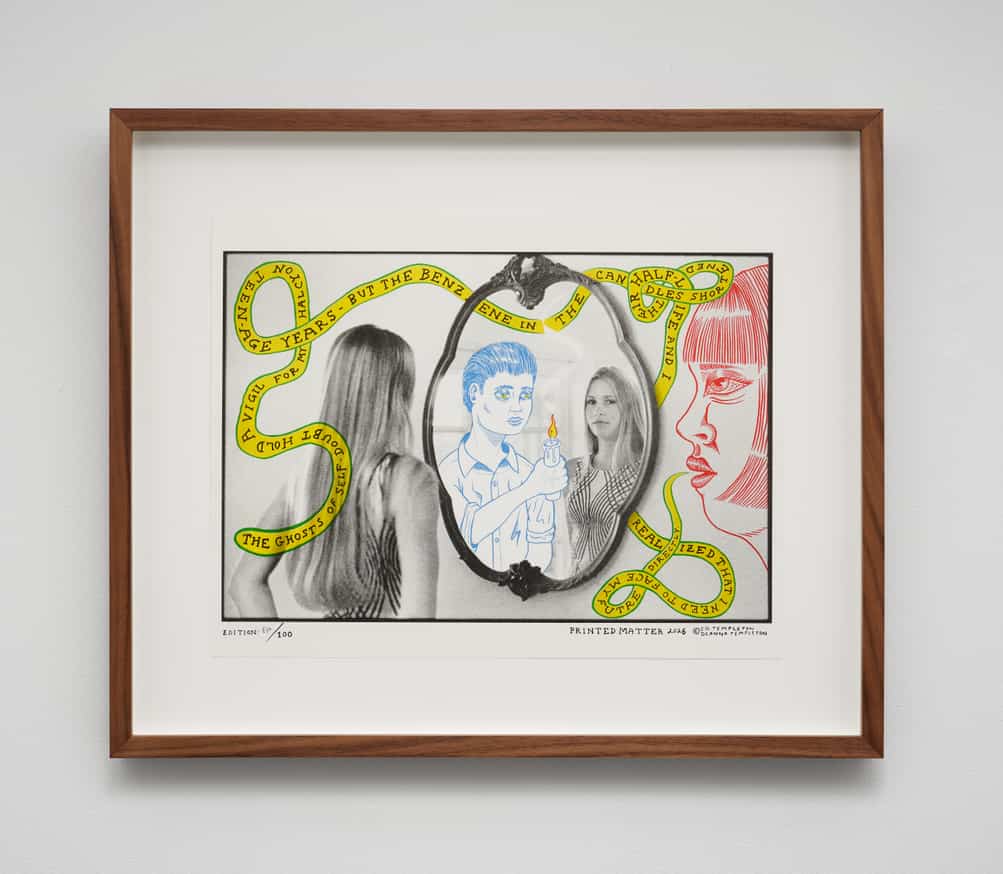 Deanna Templeton Ed Templeton ZINE まとめ売り Deanna Templeton and Ed Templeton - Sophia at a Crossroads, 2026