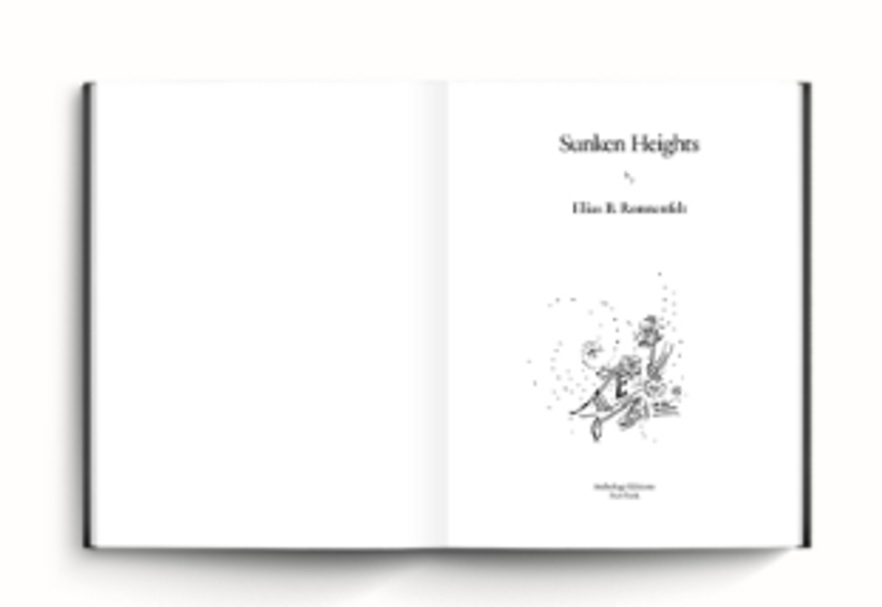 Sunken Heights thumbnail 2