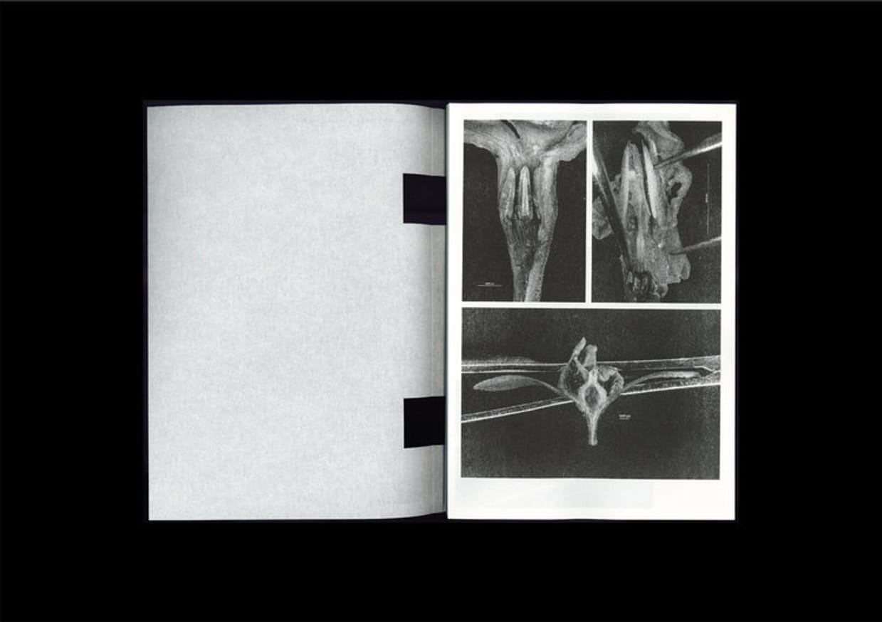 Loh Xiang Yun - Microscopic Images - Printed Matter