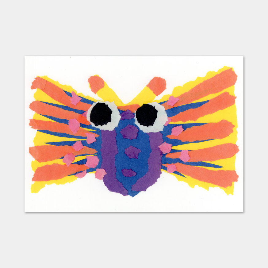  sbBp (Butterfly) [Notecard]