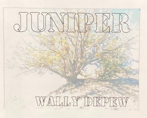 Juniper