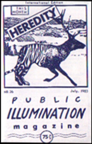 Public Illumination